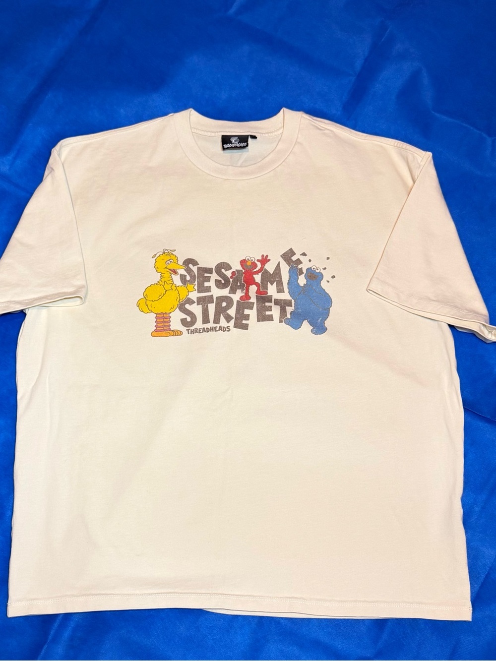 Sesame Street Graphic Tee - Cream by Threadheads- NWOT